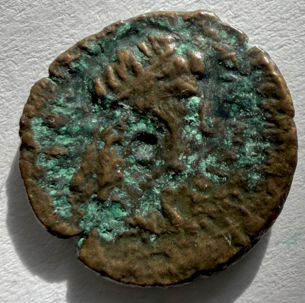 Cyrenaica, head of Zeus-Ammon, Head of Libya ae10-3rd c BC