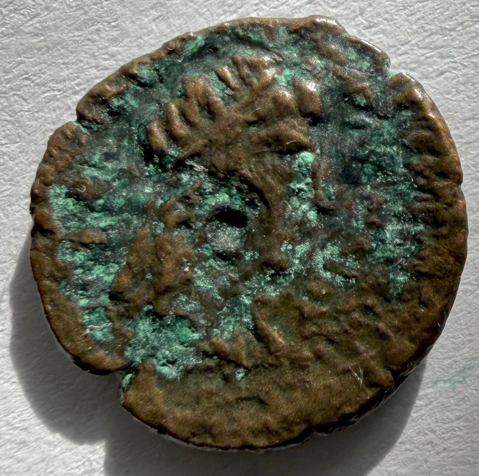 Cyrenaica, head of Zeus-Ammon, Head of Libya ae10-3rd c BC