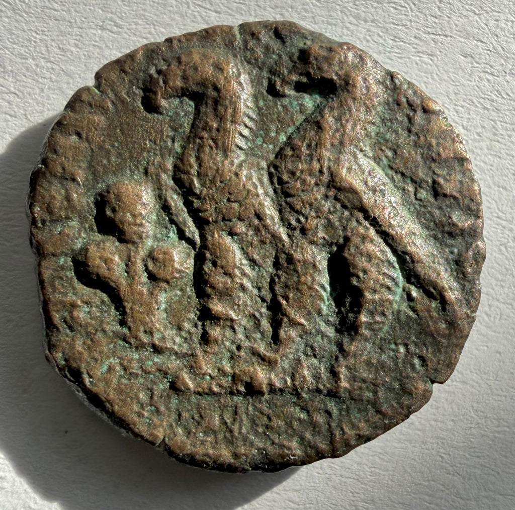Ptolemy IX Soter, Zeus Ammon to right,two eagles, with closed wings, silphium