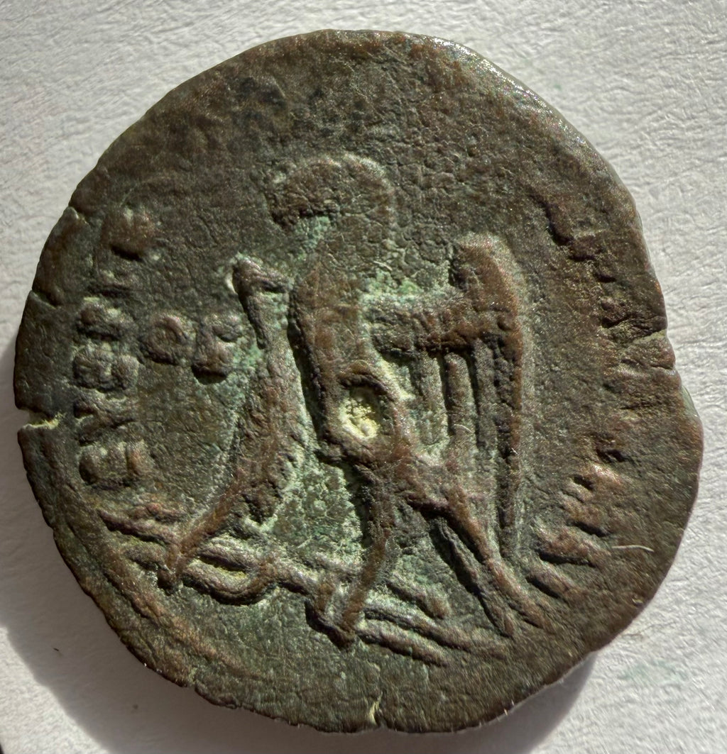 Ptolemy III Egypt Zeus Ammon Eagle Greek Coin-20mm