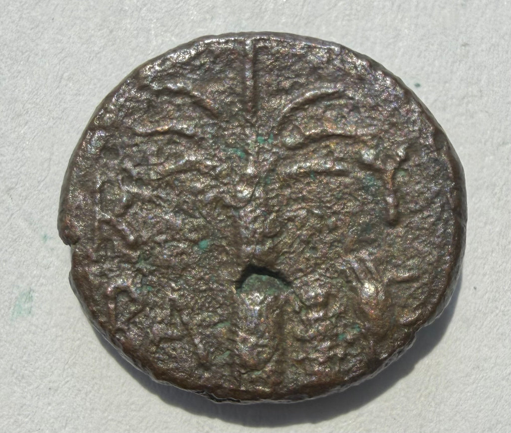 Cyrenaica. Magas as king, Æ 17mm.Palm tree; silphion plant and crab