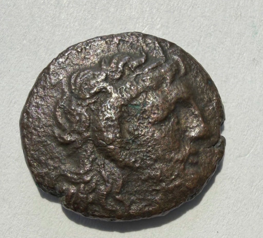 Cyrenaica. Magas as king, Æ 17mm.Palm tree; silphion plant and crab