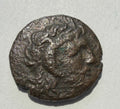 Cyrenaica. Magas as king, Æ 17mm.Palm tree; silphion plant and crab