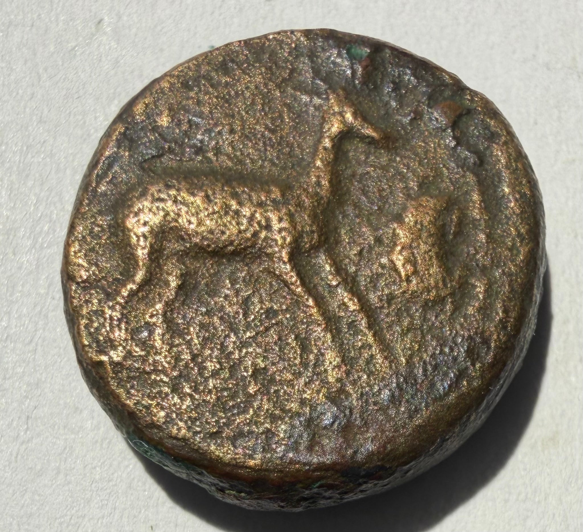 Cyrenaica. Gazella and crab./silphium AE18-found Apollonia-ex rare