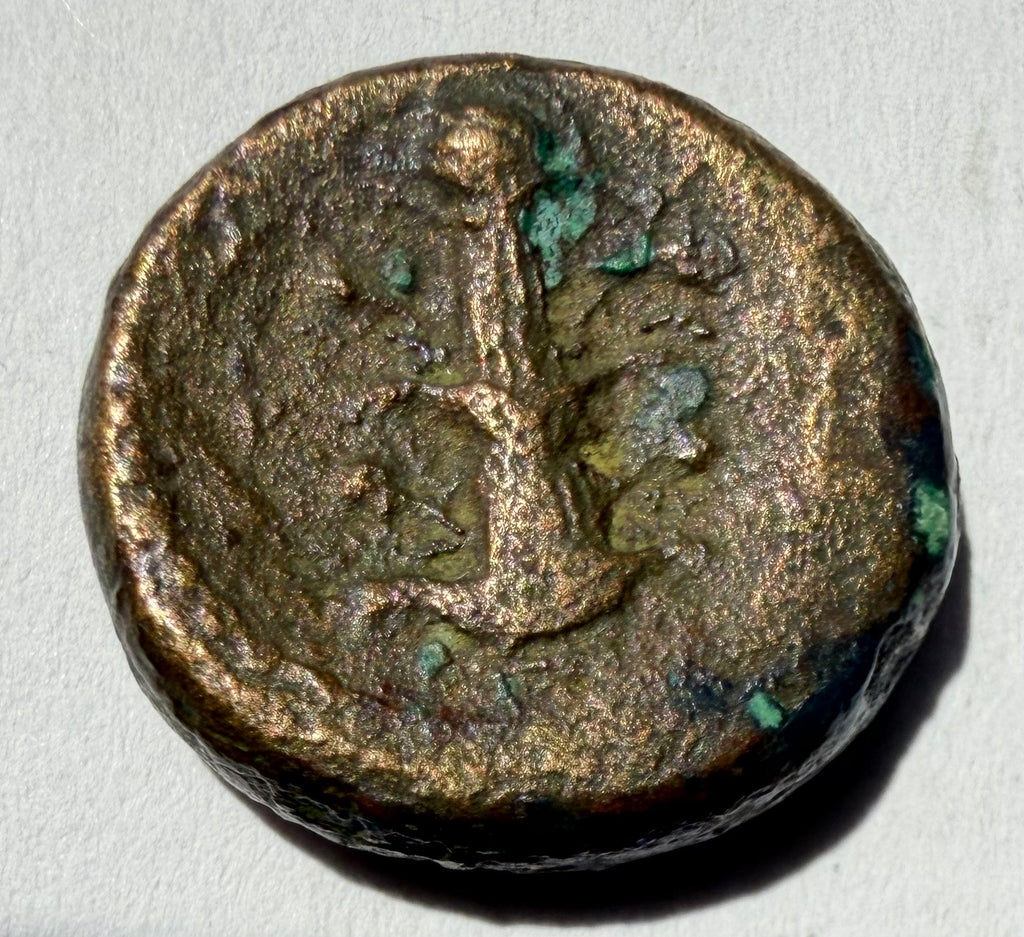 Cyrenaica. Gazella and crab./silphium AE18-found Apollonia-ex rare