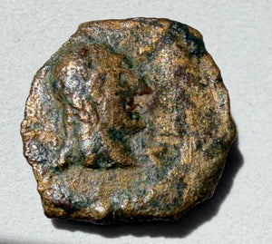 Cyrenaica, head of Zeus-Ammon, Head of Libya ae12-3rd c BC (Copy)