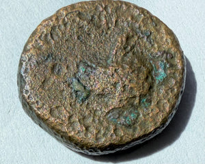 Ptolemy I Soter ae 15-Forepart of a winged horse facing right. 305-282 BC