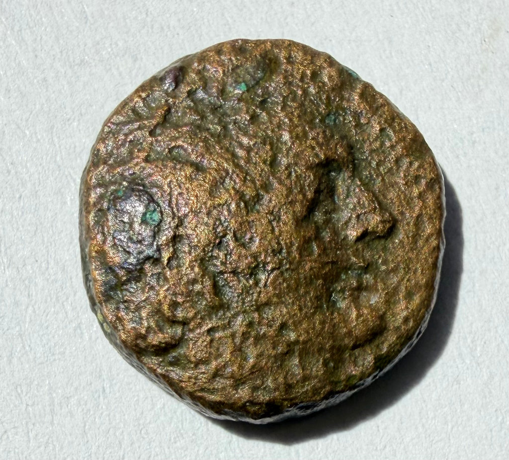 Ptolemy I Soter ae 15-Forepart of a winged horse facing right. 305-282 BC