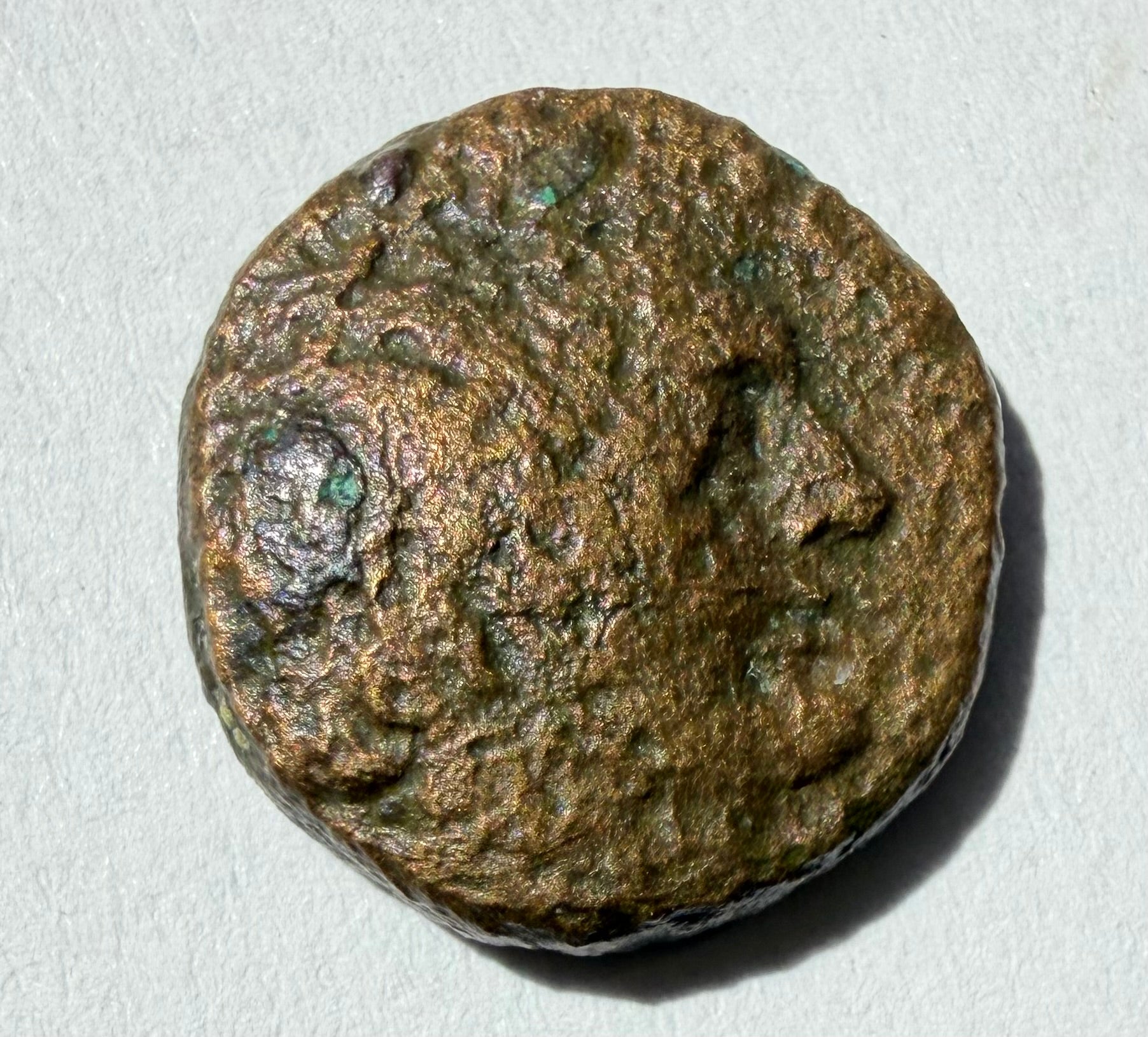 Ptolemy I Soter ae 15-Forepart of a winged horse facing right. 305-282 BC