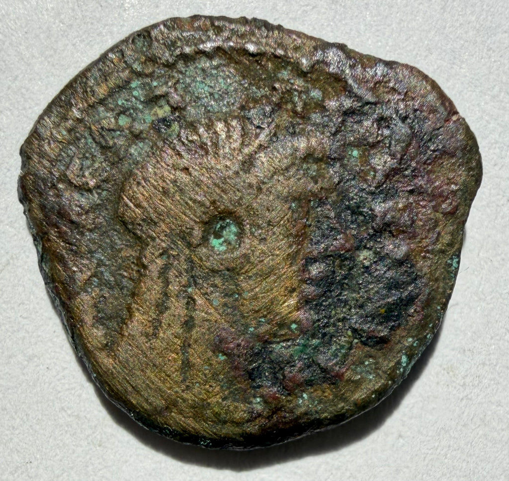 Ptolemy V Epiphanes  C 204–180 BC: Draped bust of Libya facing right ae17