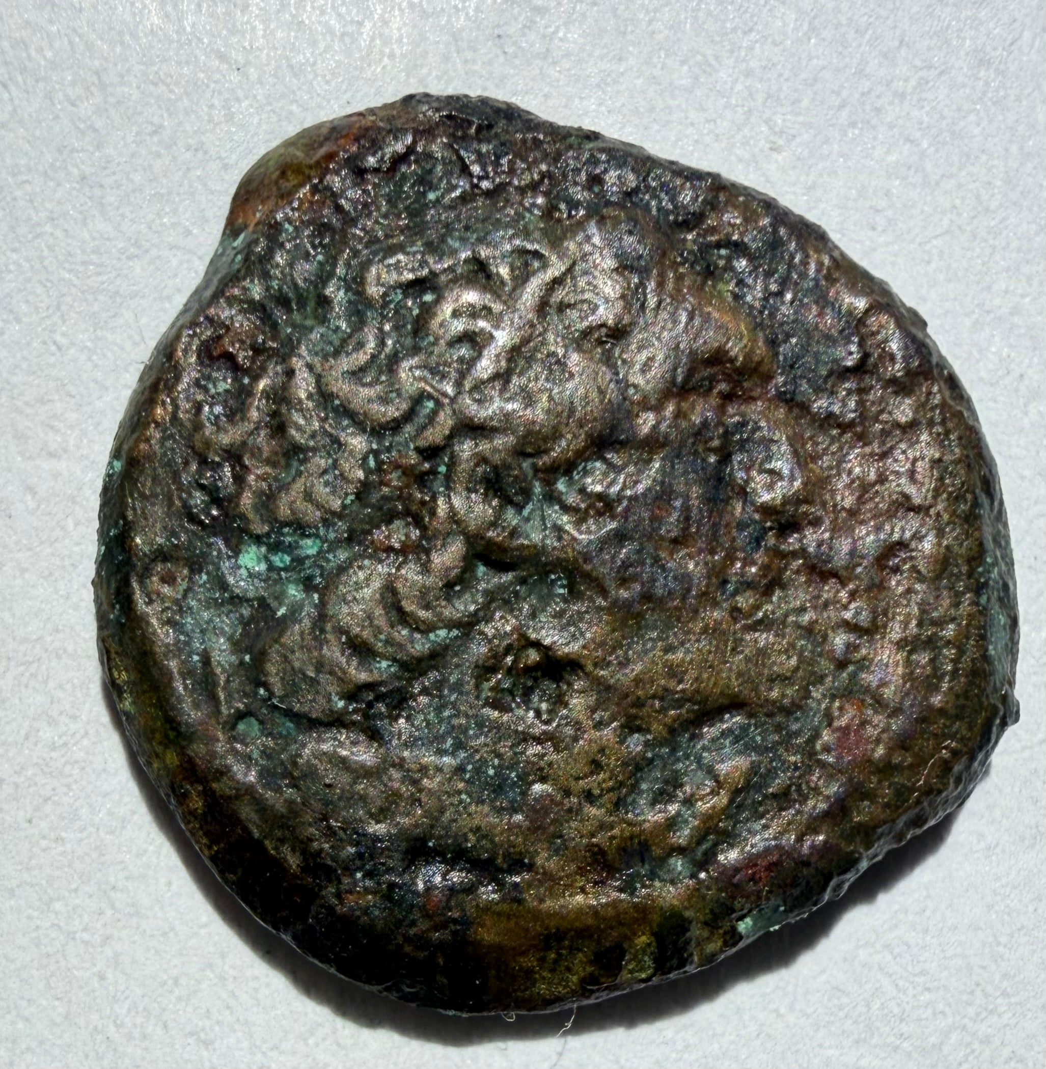 Ptolemy V Epiphanes  C 204–180 BC: Draped bust of Libya facing right ae17