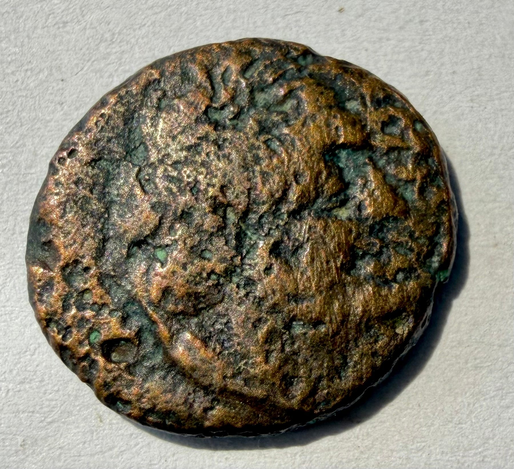 Ptolemy I Soter ae 16 winged horse facing left. 305-282 BC