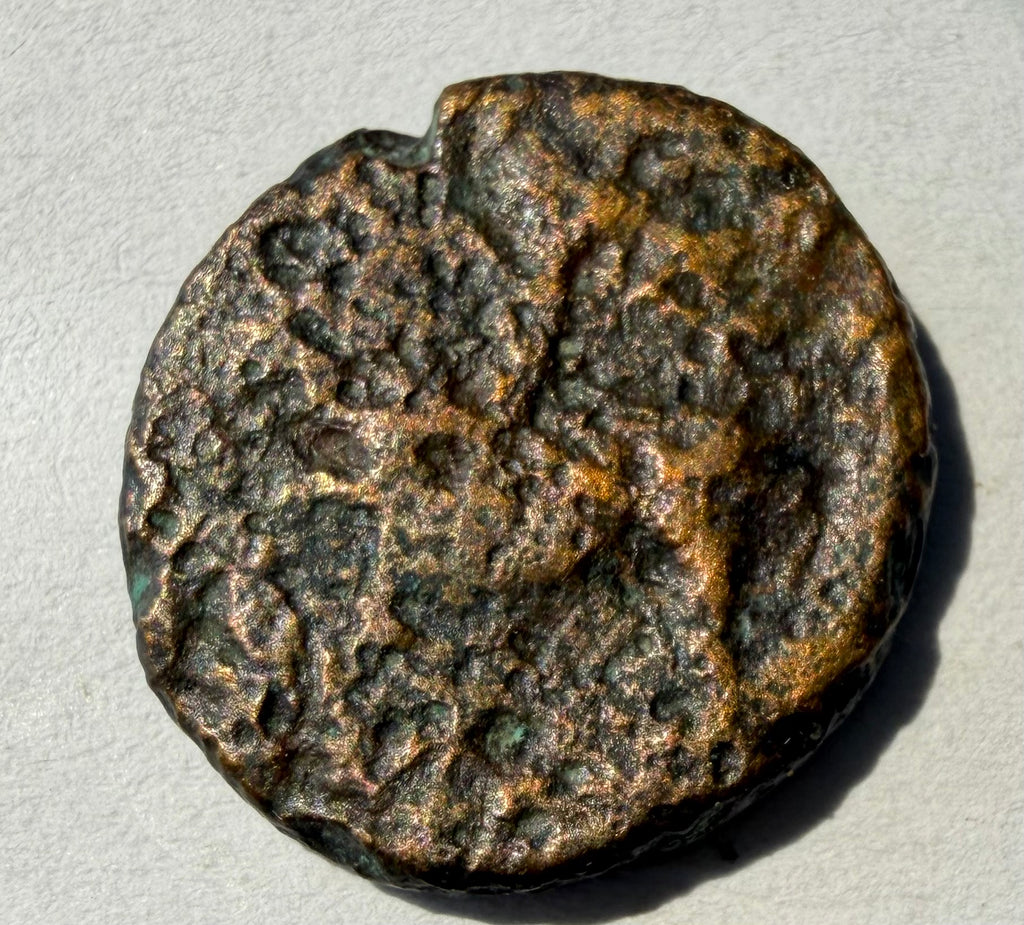 Ptolemy I Soter ae 16 winged horse facing left. 305-282 BC