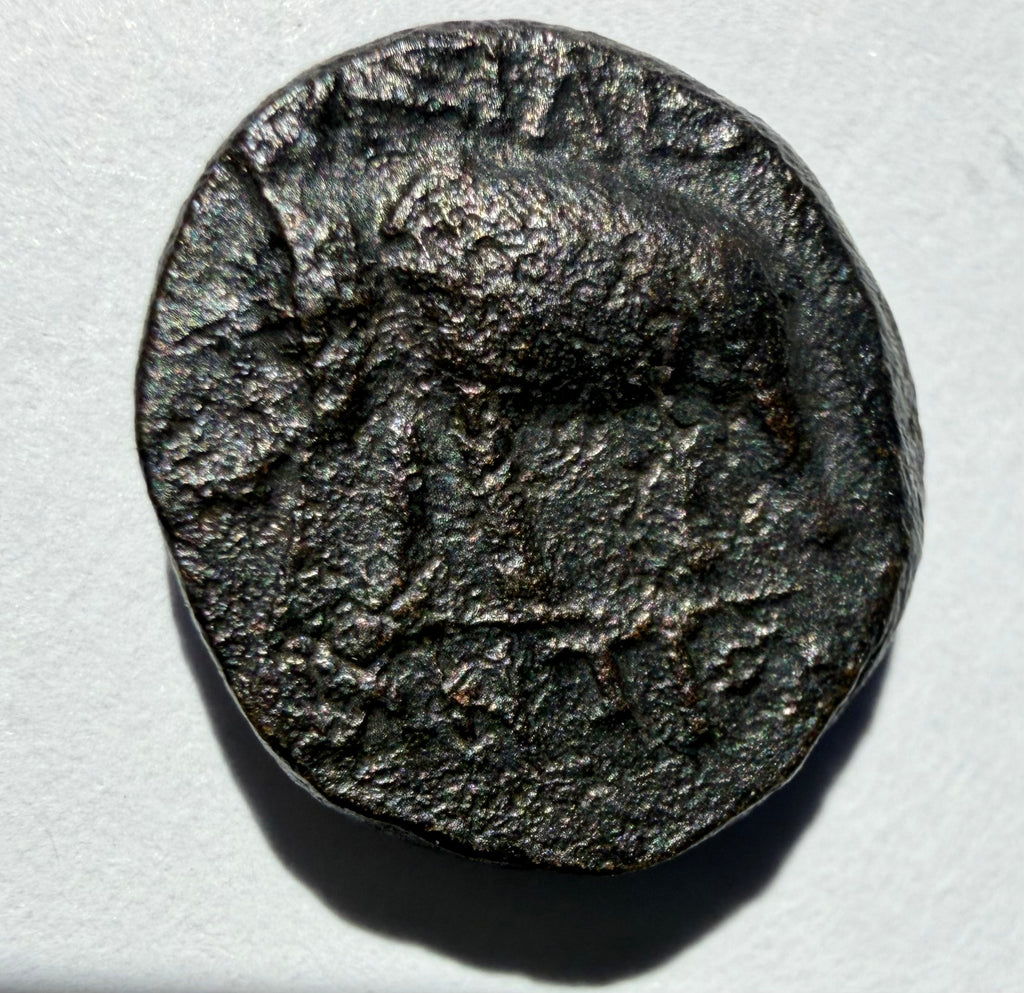 Greece 222-187 BC SELEUKID KING ANTIOCHOS III APOLLO ELEPHANT SARDES AE12