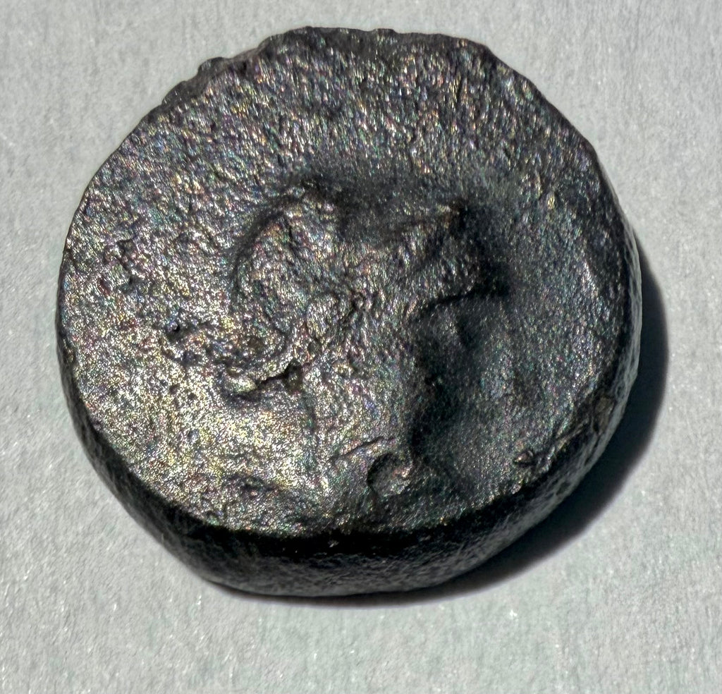 Greece 222-187 BC SELEUKID KING ANTIOCHOS III APOLLO ELEPHANT SARDES AE12
