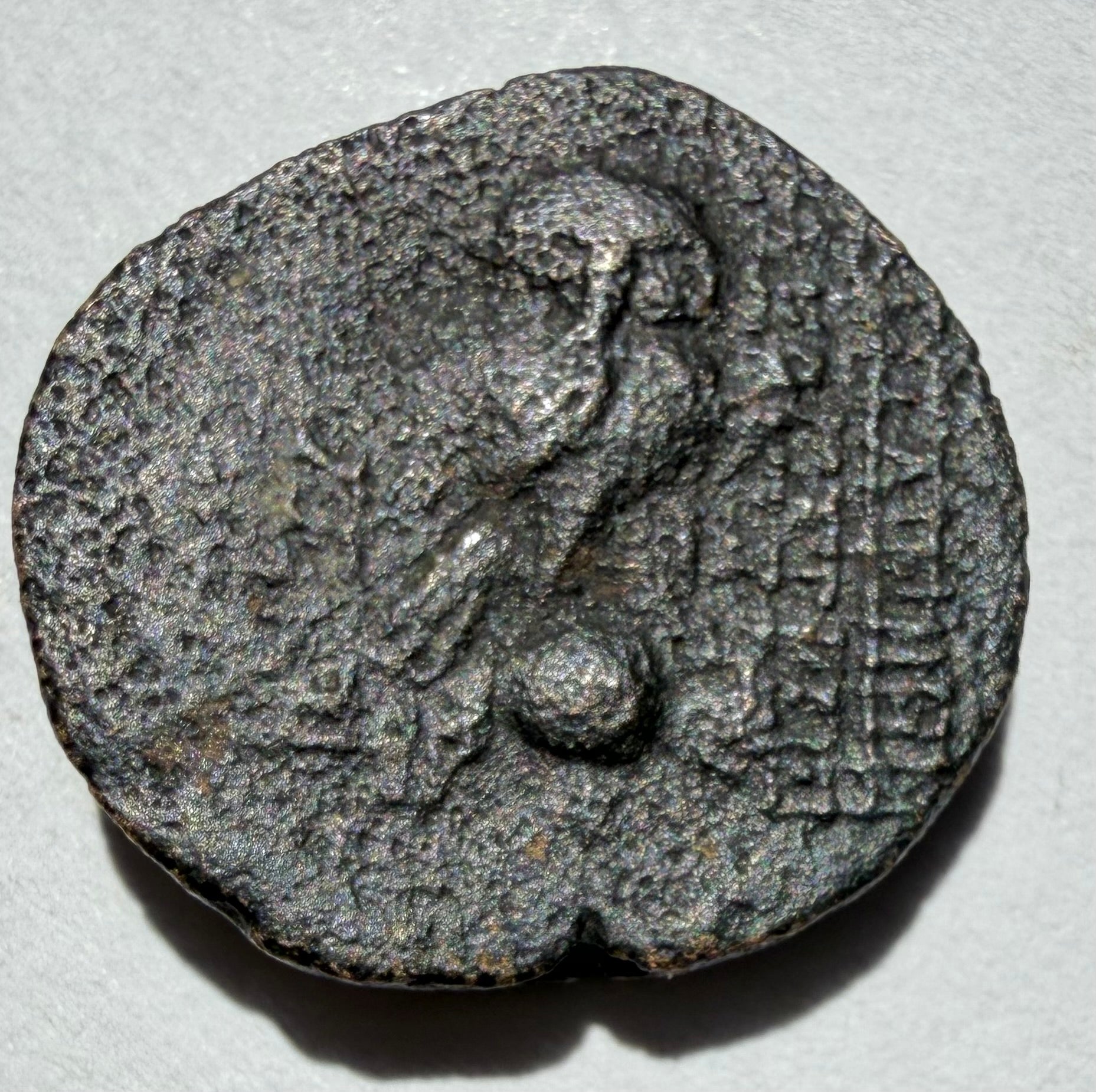 Greek Seleucid-Cleopatra Thea & Antiochus VIII-Owl on amphora