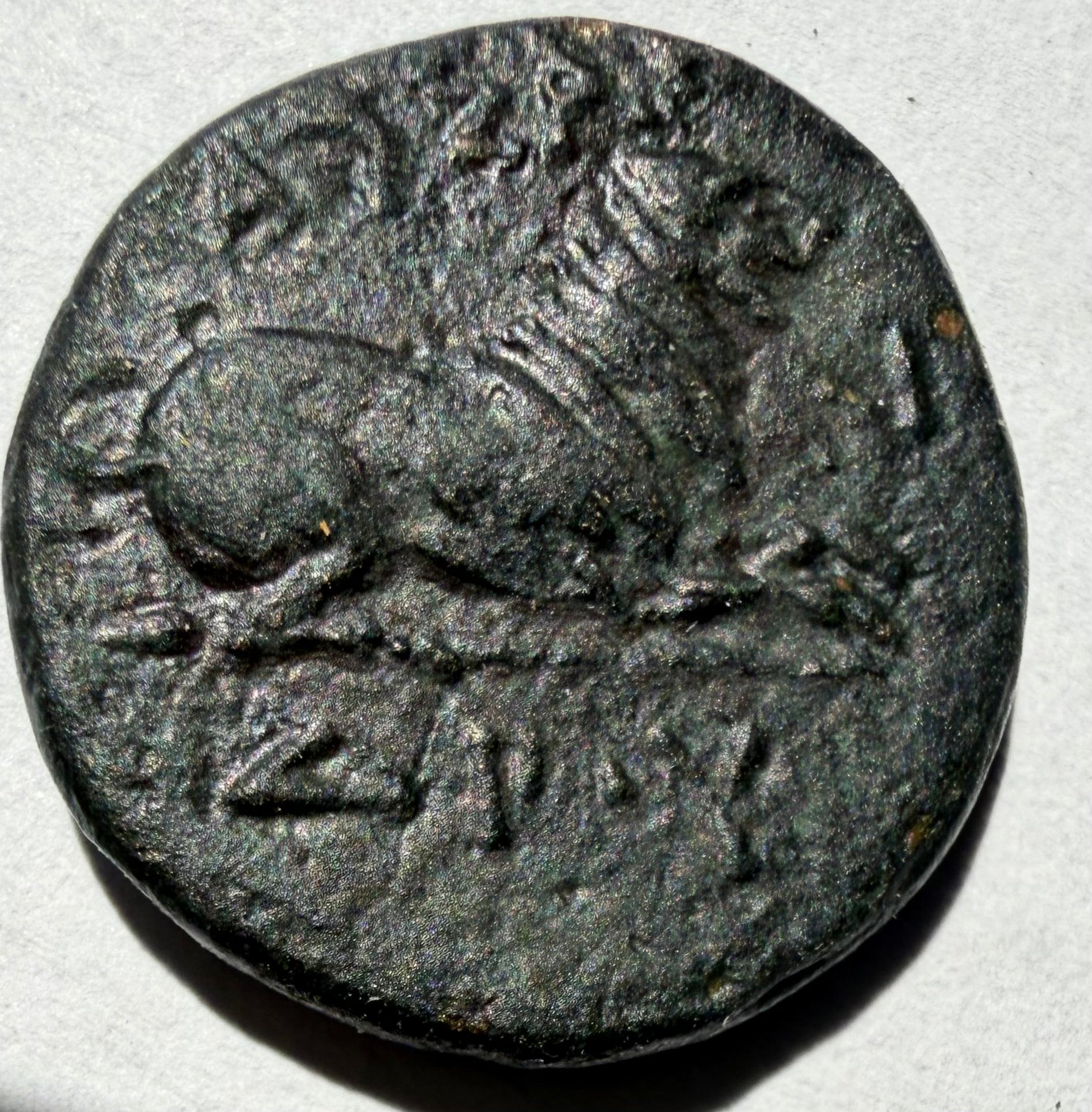 Kassander King of Macedon AE17, 305–297 BC Hercules right. Lion couchant right