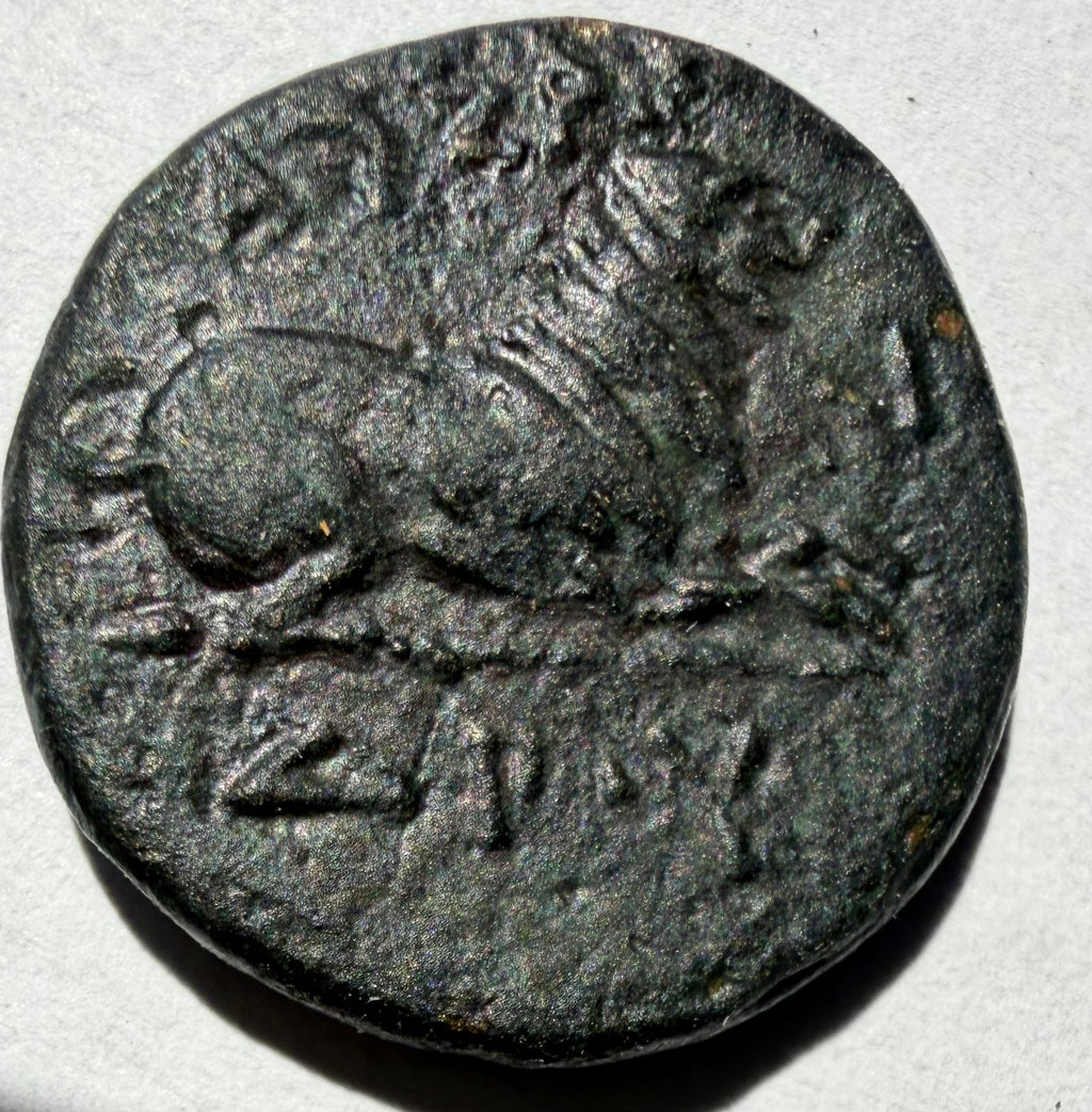 Kassander King of Macedon AE17, 305–297 BC Hercules right. Lion couchant right