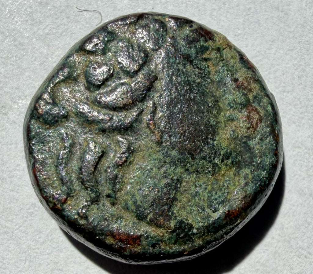 Thessalonica AE18 187-131 BC Dionysos/ Goat Sears 1466