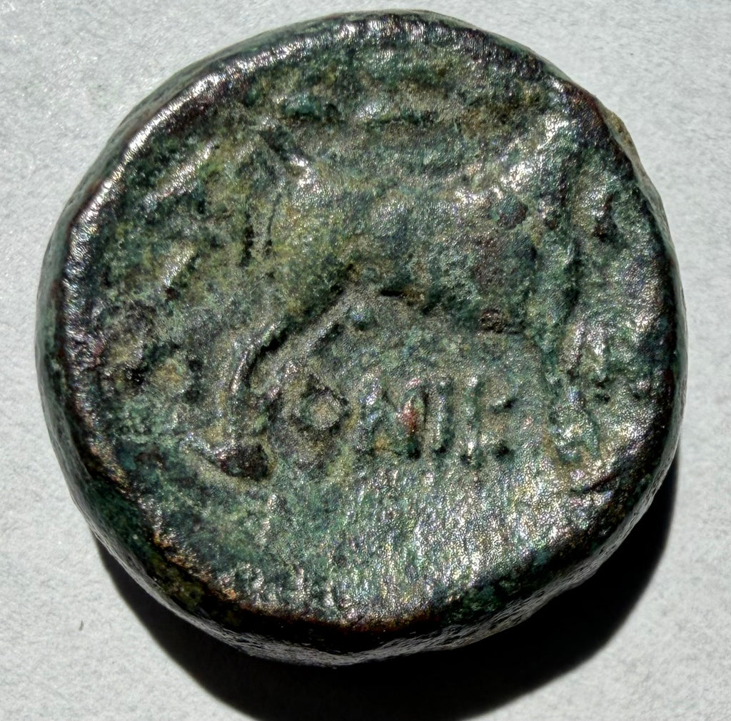 Thessalonica AE18 187-131 BC Dionysos/ Goat Sears 1466