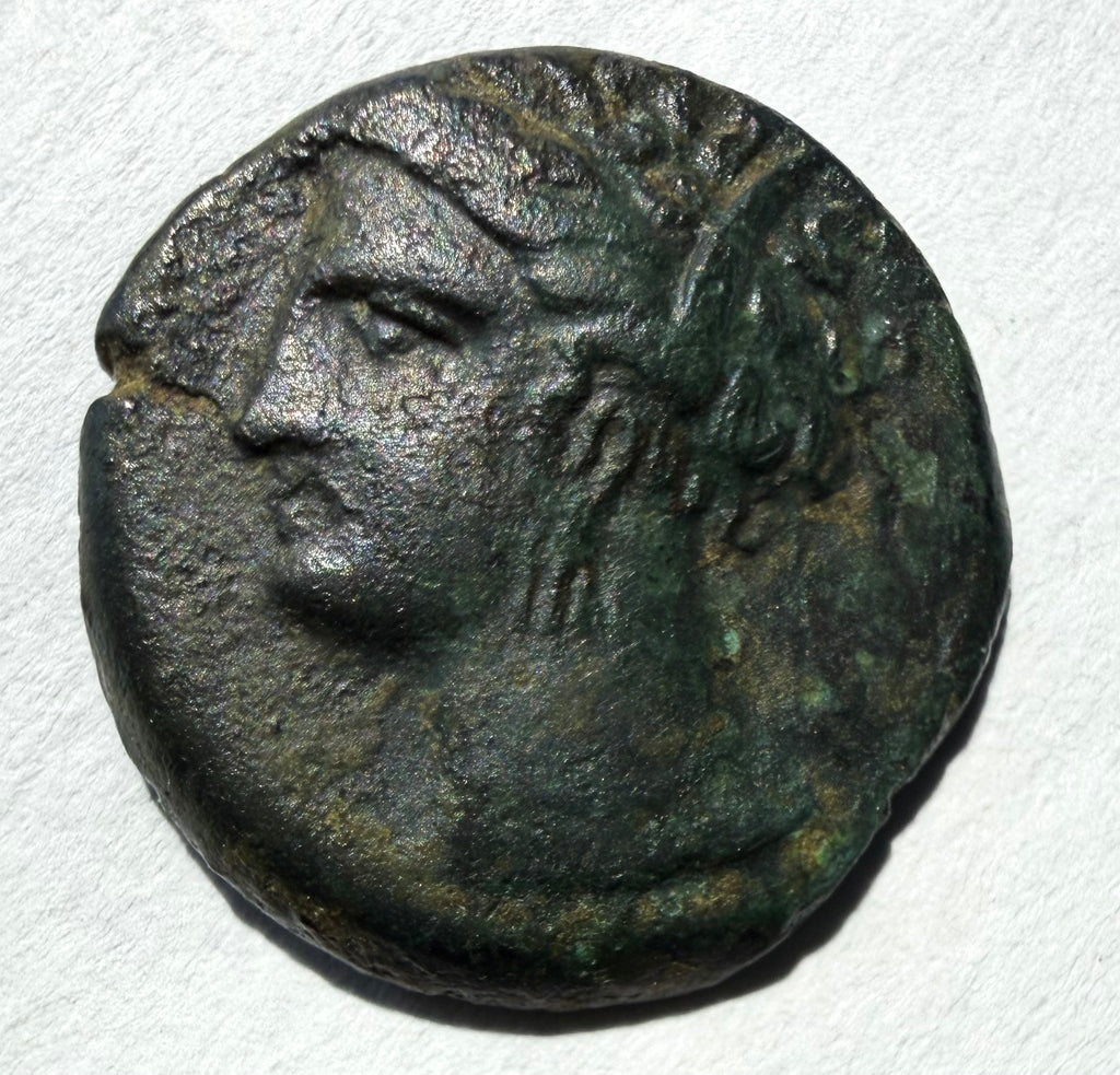 Carthage ae16.Head of Tanit left. Horse standing right palm behind 3rd centuryBC