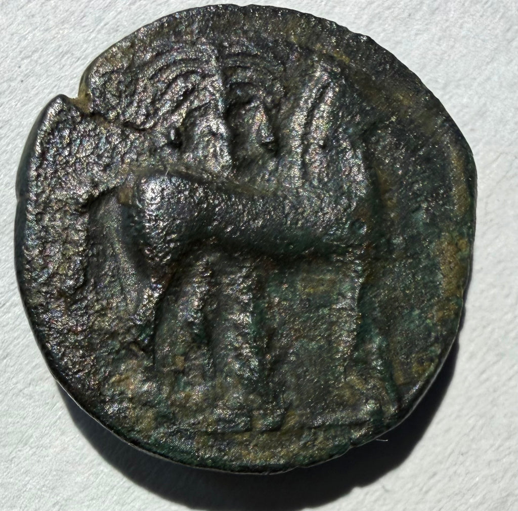 Carthage ae16.Head of Tanit left. Horse standing right palm behind 3rd centuryBC