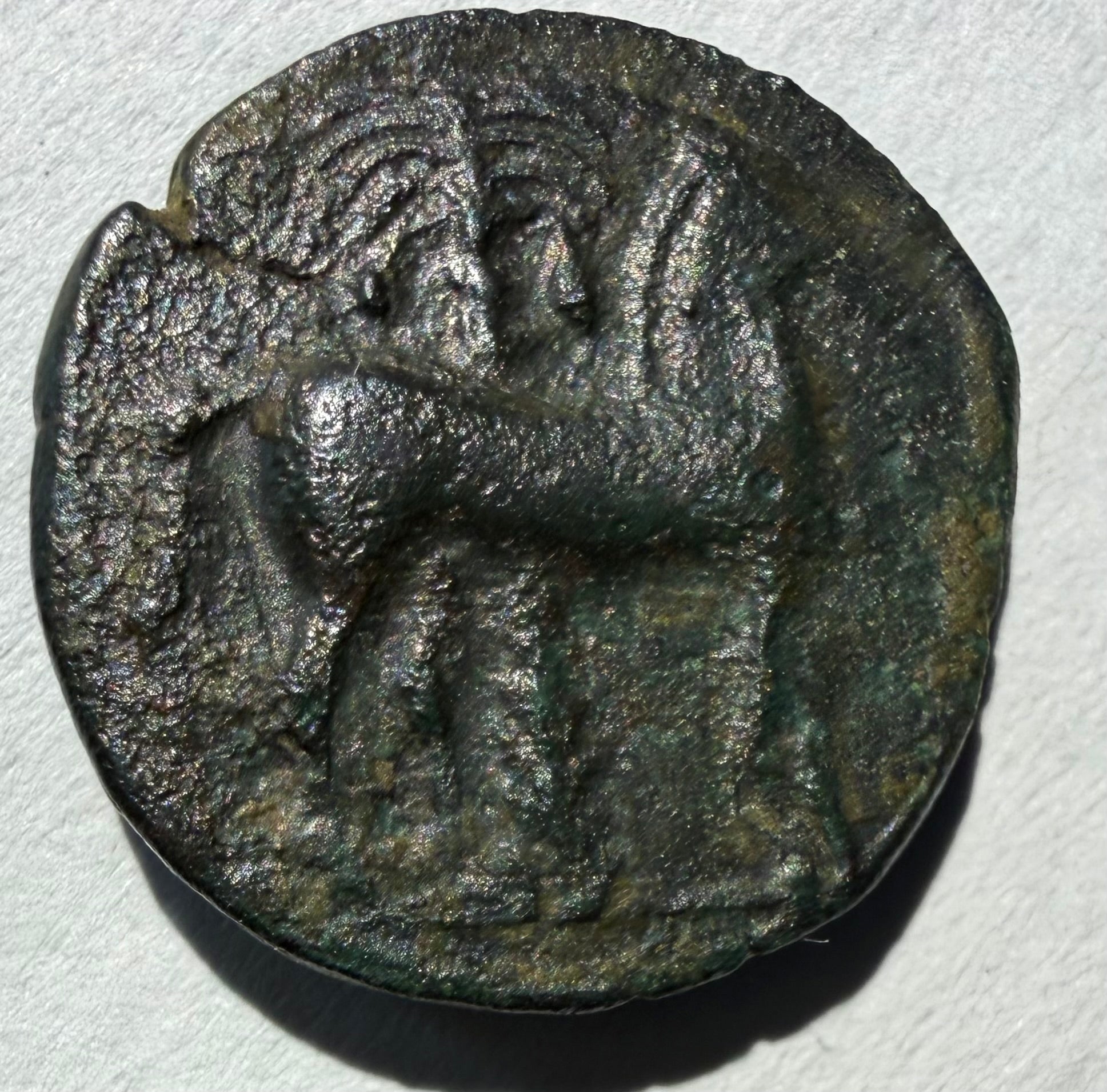 Carthage ae16.Head of Tanit left. Horse standing right palm behind 3rd centuryBC