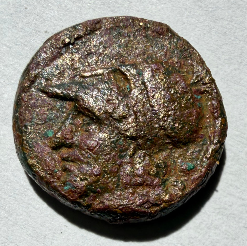 Agathokles (c. 317–289 BC)litra AE14 Syracuse, Sicily. Athena/winged thunderbolt