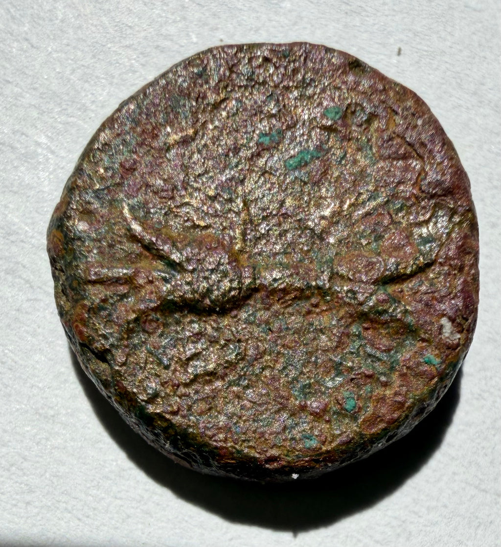 Agathokles (c. 317–289 BC)litra AE14 Syracuse, Sicily. Athena/winged thunderbolt