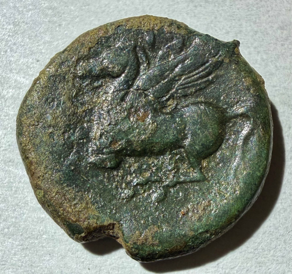 Sicily 1st Punic wars. AE 18. Tanit/ Pegasus