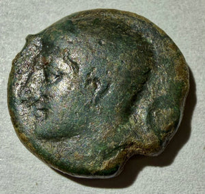 Sicily 1st Punic wars. AE 18. Tanit/ Pegasus