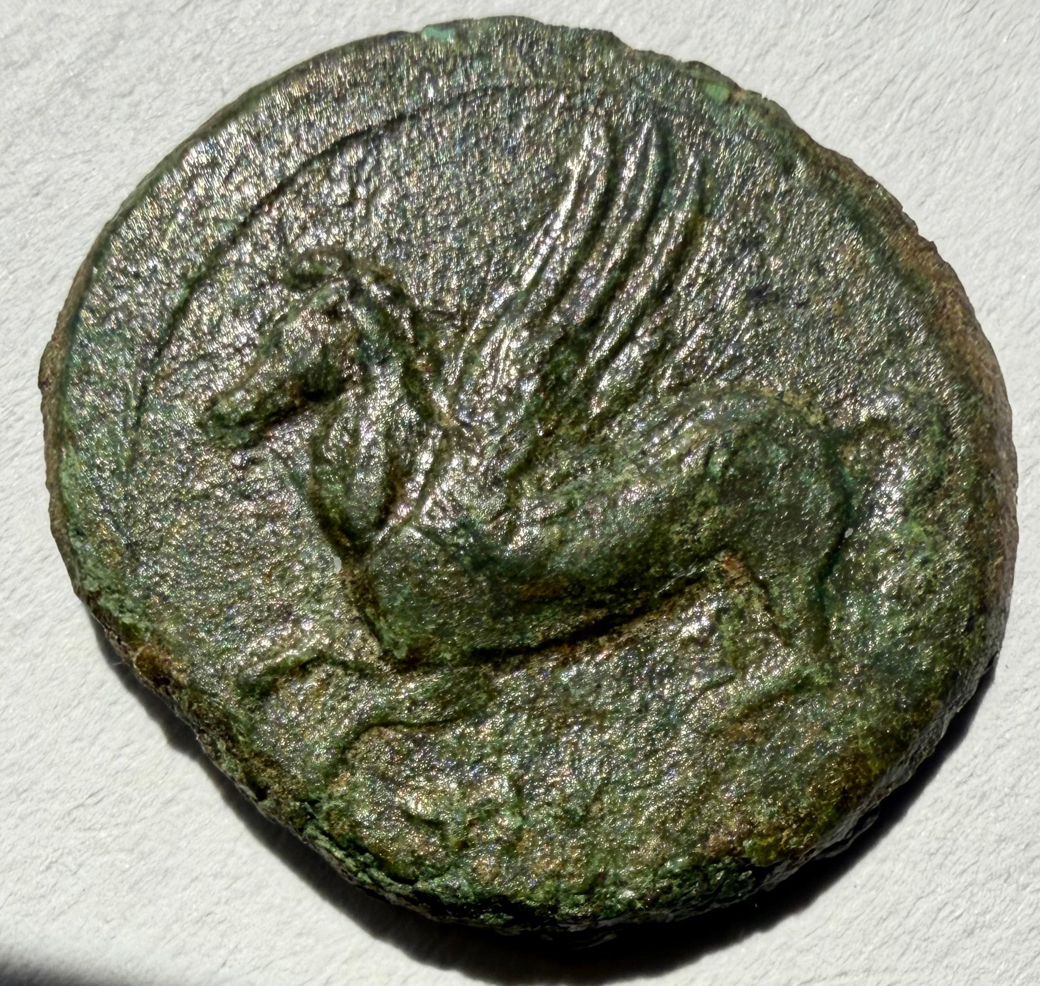 Carthaginians (Carthage) in Sicily AE17 Palm Tree, Dates & Pegasus Flying