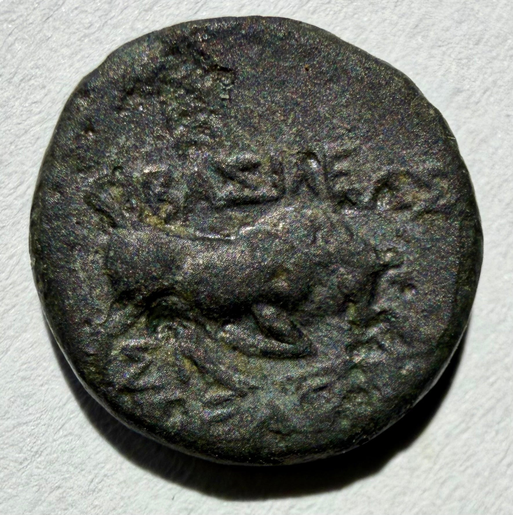 Seleukos I Nikator 1/2 unit 13mm-312–281 BC. Medusa/Bull