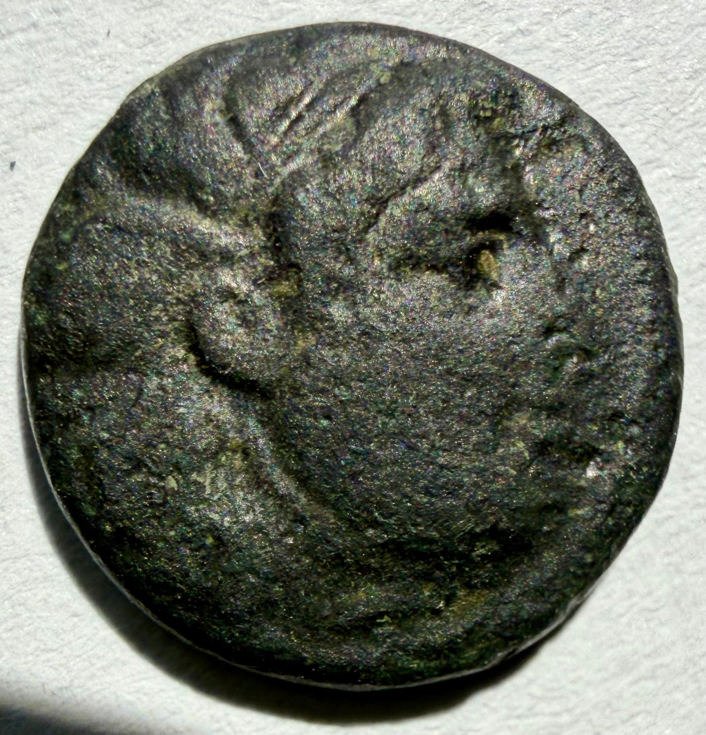 Seleukos I Nikator 1/2 unit 13mm-312–281 BC. Medusa/Bull
