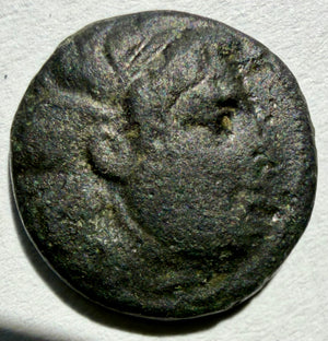 Seleukos I Nikator 1/2 unit 13mm-312–281 BC. Medusa/Bull