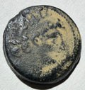SELEUKID KINGS Antiochos VIII Epiphanes (Grypos) AE18