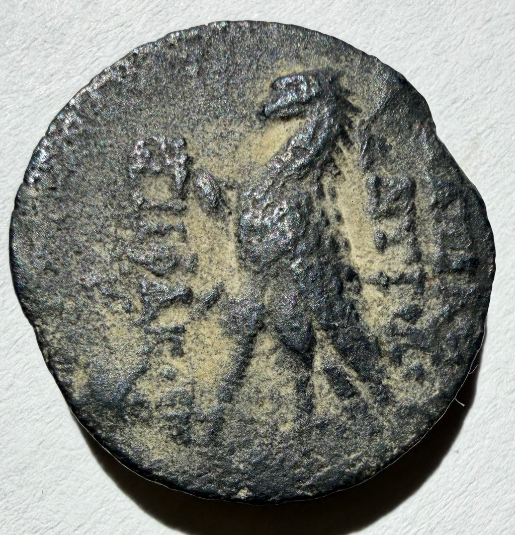 SELEUKID KINGS Antiochos VIII Epiphanes (Grypos) AE18