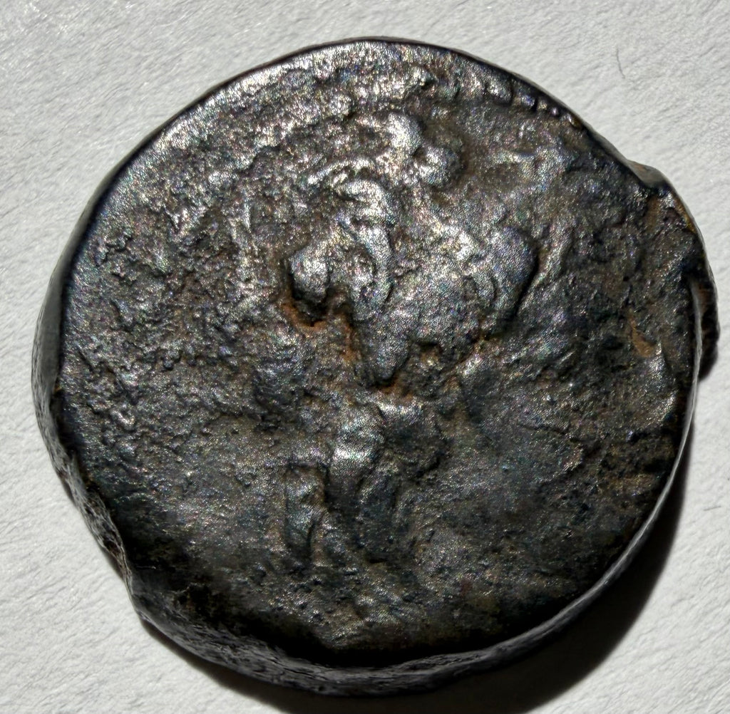 Alexander II Zabinas AE20/ Dionysis