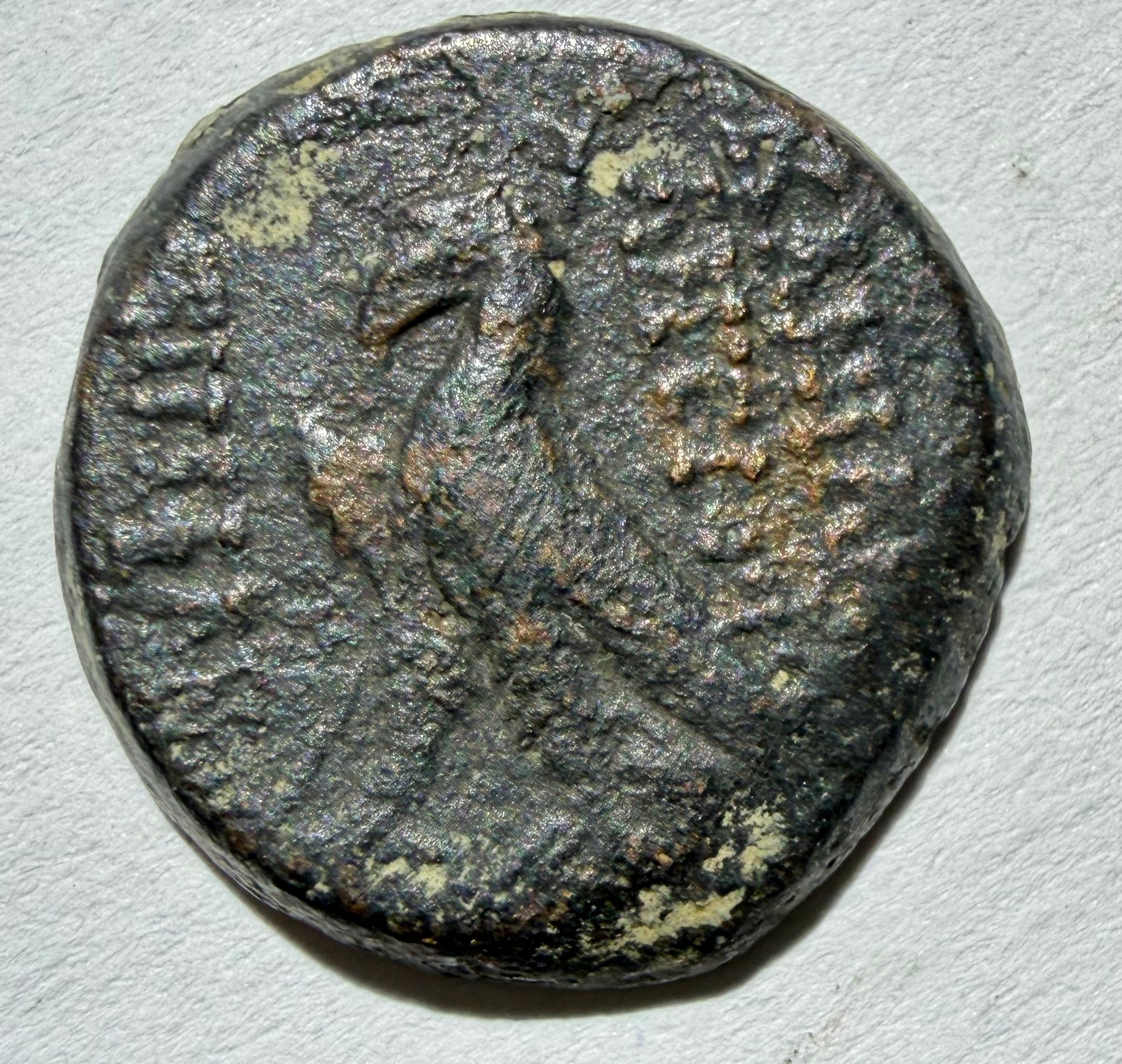 SELEUKID KINGS Antiochos VIII Epiphanes (Grypos) AE17