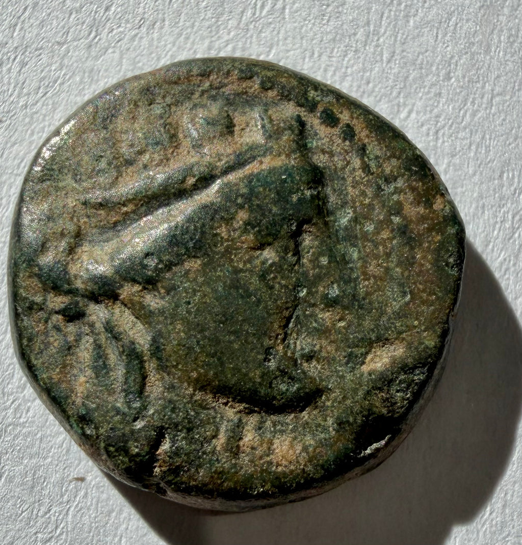 Ionia, Smyrna, 2nd–1st Century BC-Tyche/Aphrodite Stratonikis-Moschos (ΜΟΣΧΟΣ)