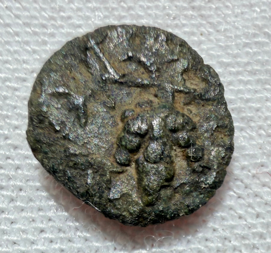 Temnos-Aiolis. Dionysus/Grapes Sears 4228 AE8 0.53 grams
