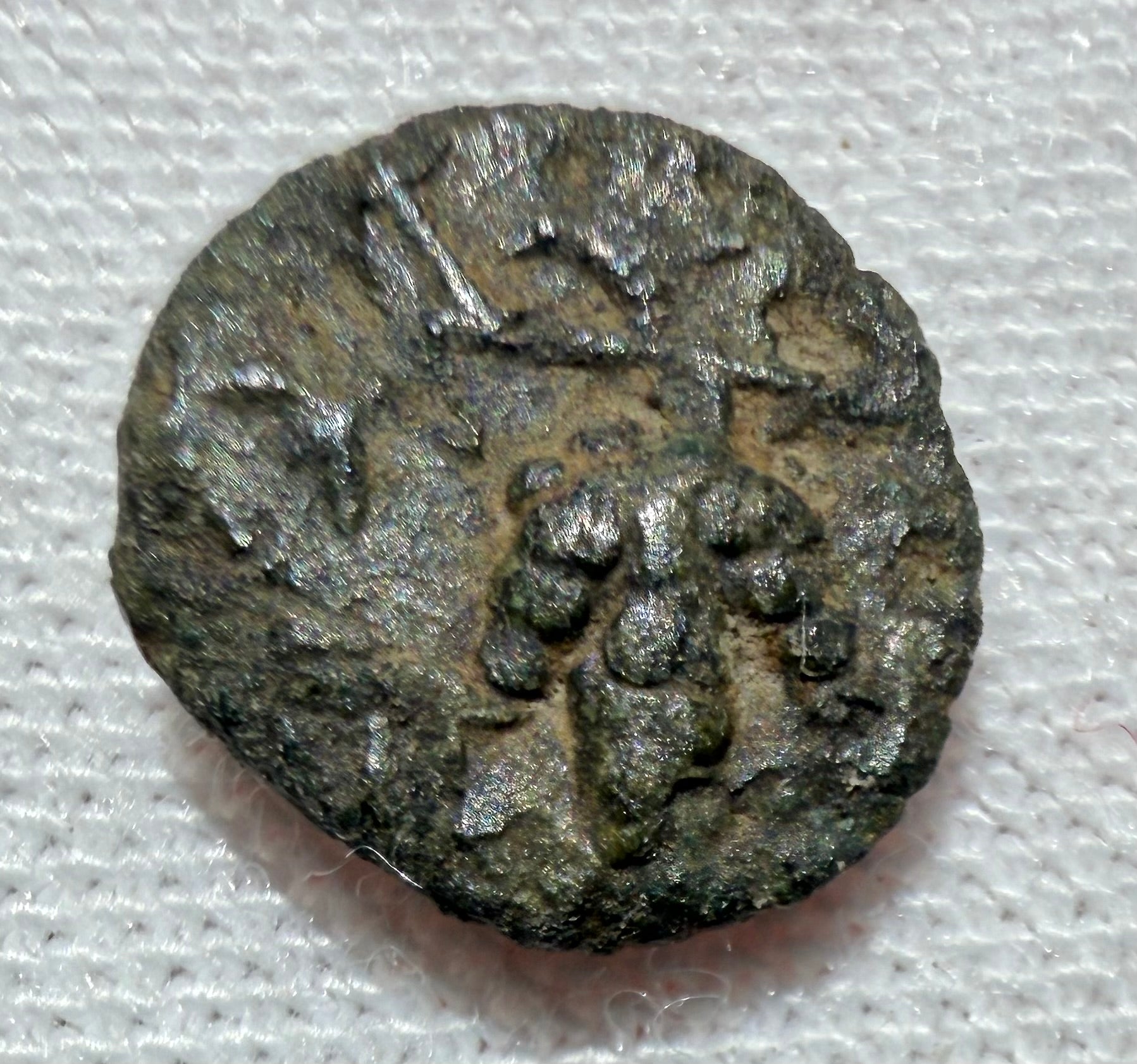 Temnos-Aiolis. Dionysus/Grapes Sears 4228 AE8 0.53 grams