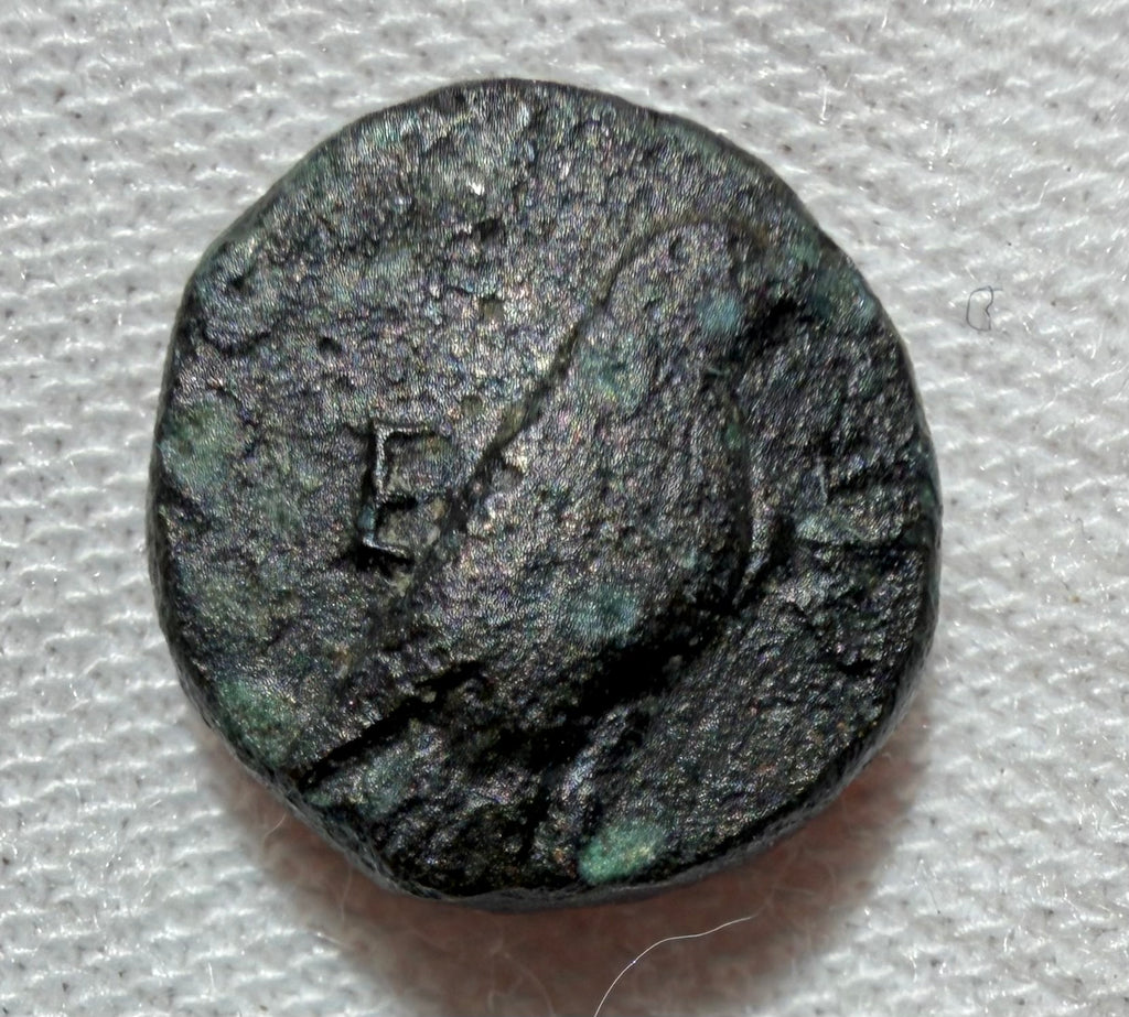 Kyme in Aiolis. Eagle and cup. Circa 350–250 BCE. AE10. 1.68 grams