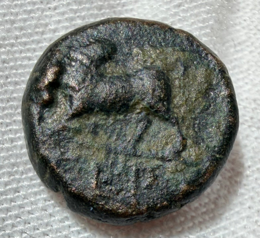 Pisidia, Termessos AE12 Zeus / humped Bull-1st Century BC (c. 100 – 71 BC)