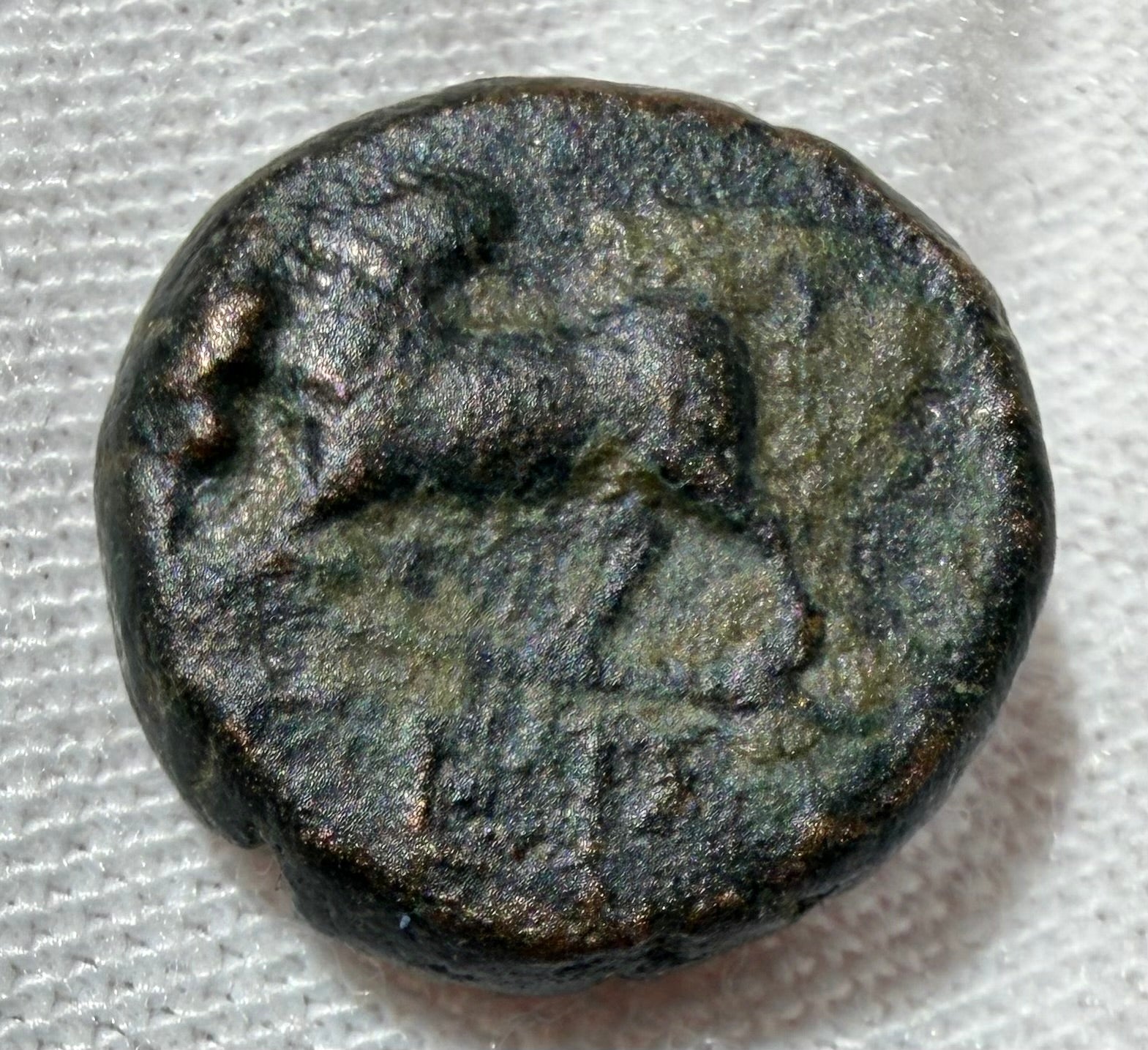 Pisidia, Termessos AE12 Zeus / humped Bull-1st Century BC (c. 100 – 71 BC)