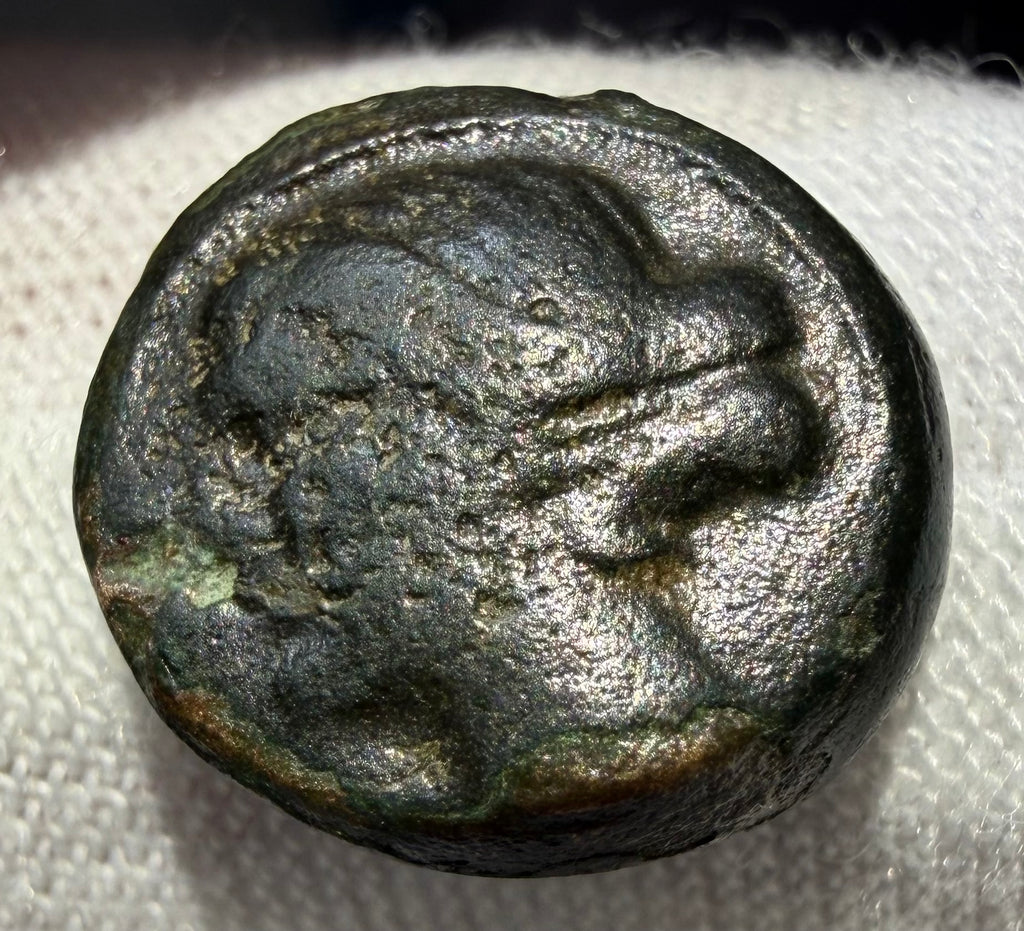 Larissa Thesaly AE12 nymph/ horse. sears 2130