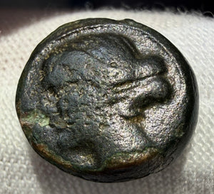 Larissa Thesaly AE12 nymph/ horse. sears 2130