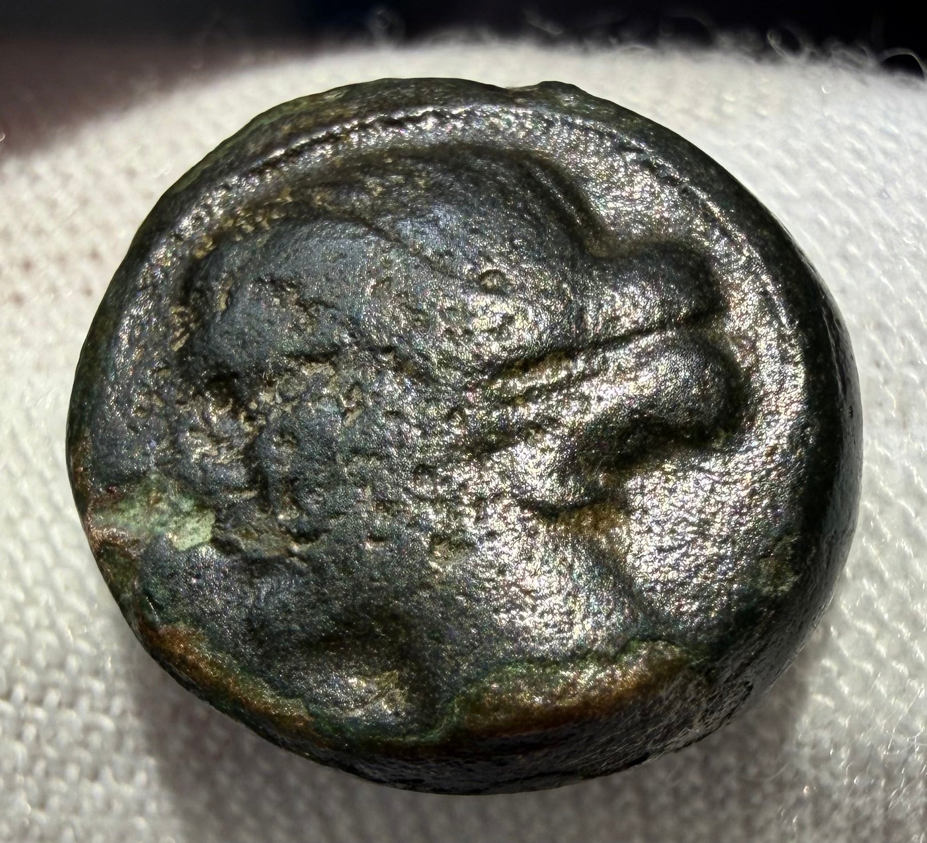 Larissa Thesaly AE12 nymph/ horse. sears 2130