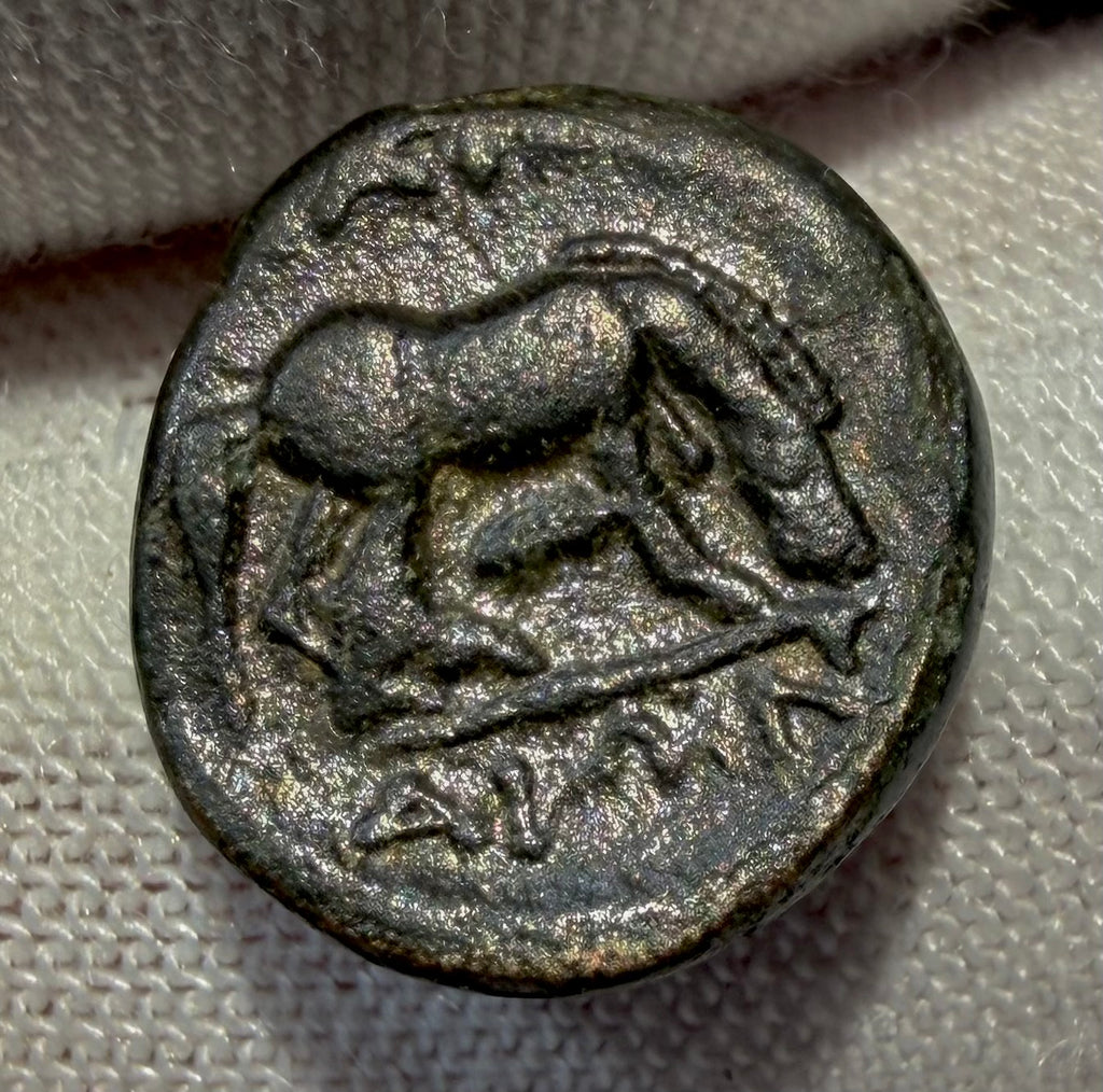 Larissa Thesaly AE12 nymph/ horse. sears 2130