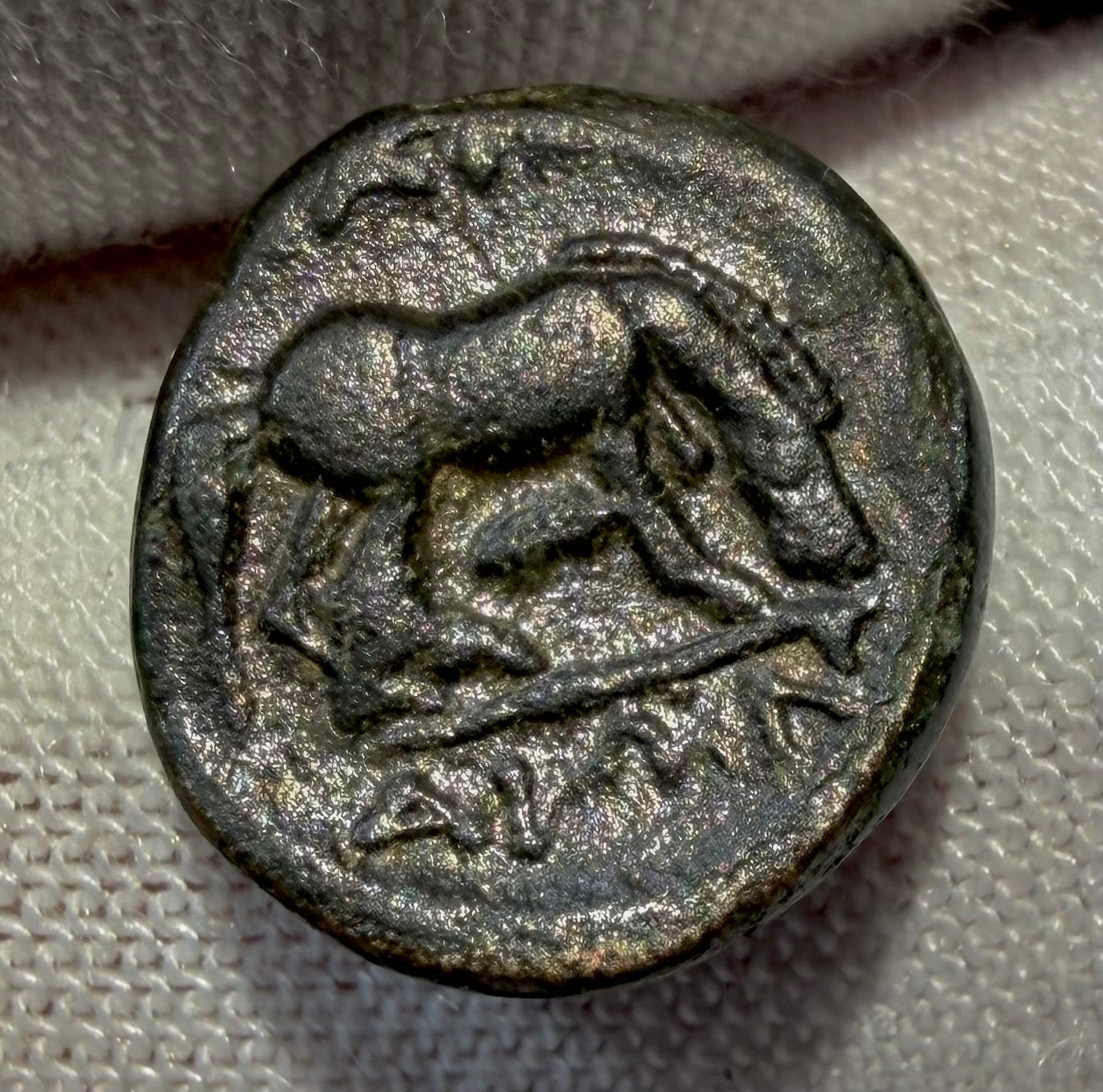 Larissa Thesaly AE12 nymph/ horse. sears 2130